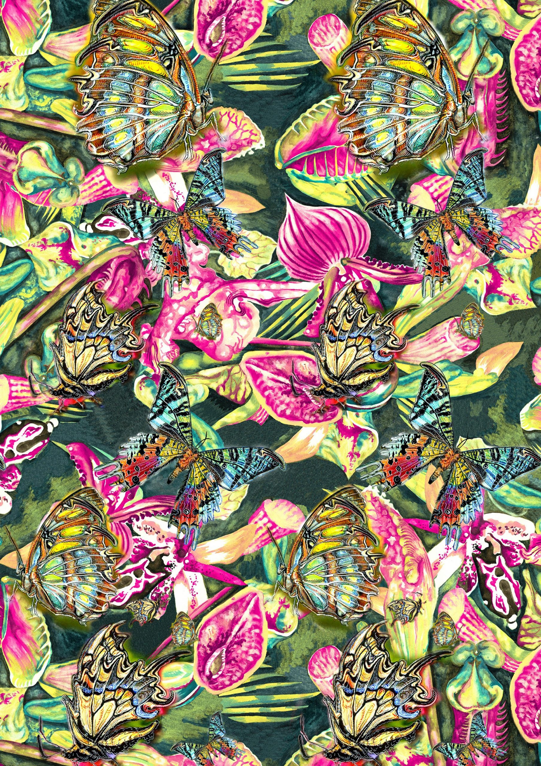 Wallpaper Flowers Butterflies