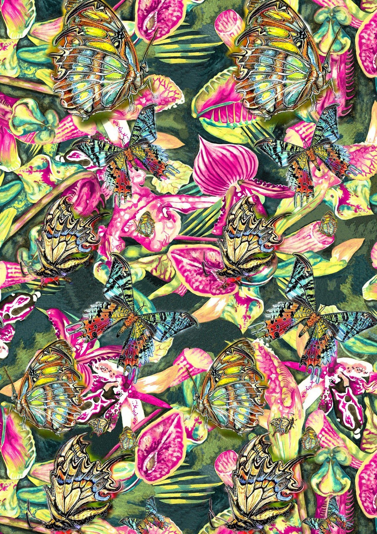Wallpaper Flowers Butterflies